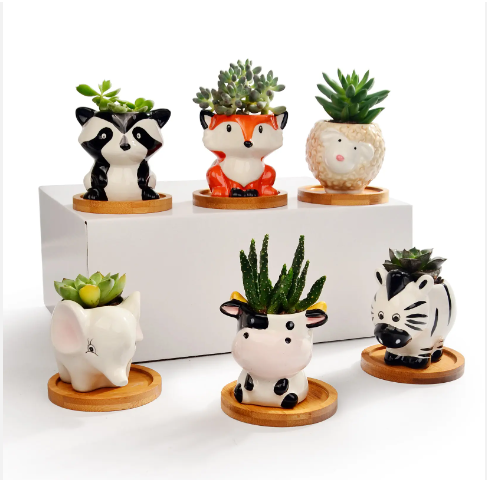 Ceramic Animal succulent pots