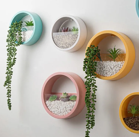 Succulent Wall-Mounted Pot