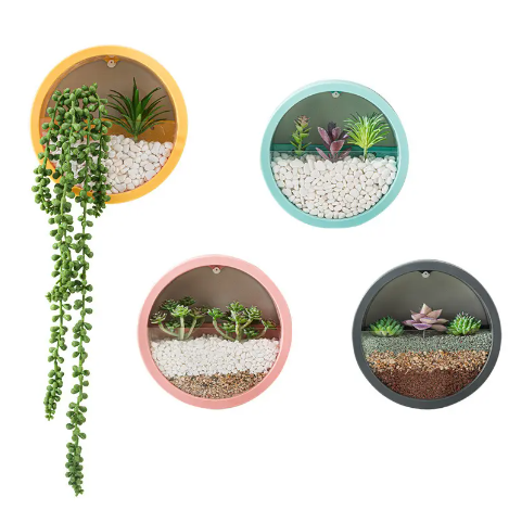 Succulent Wall-Mounted Pot