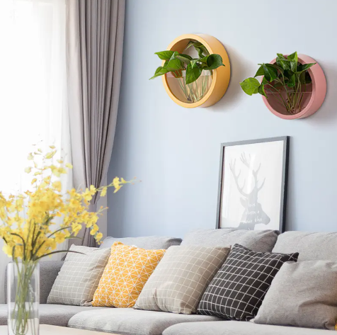 Succulent Wall-Mounted Pot