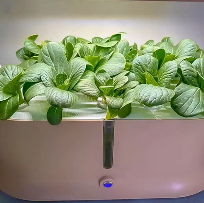 Smart Indoor Planter