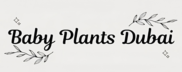 BabyPlantsDubai