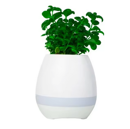 Speaker Plant Pot