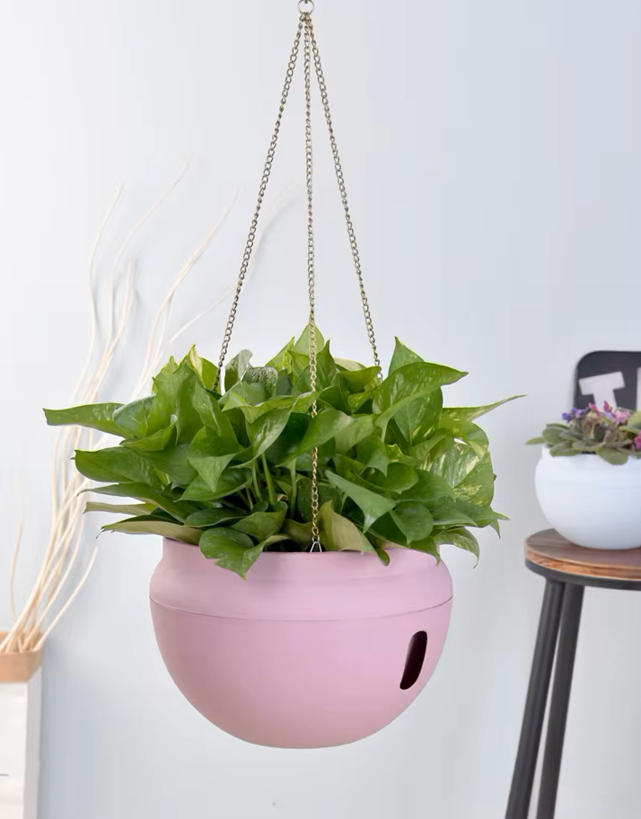 Hanging Pots