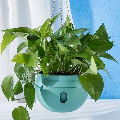 Hanging Pots